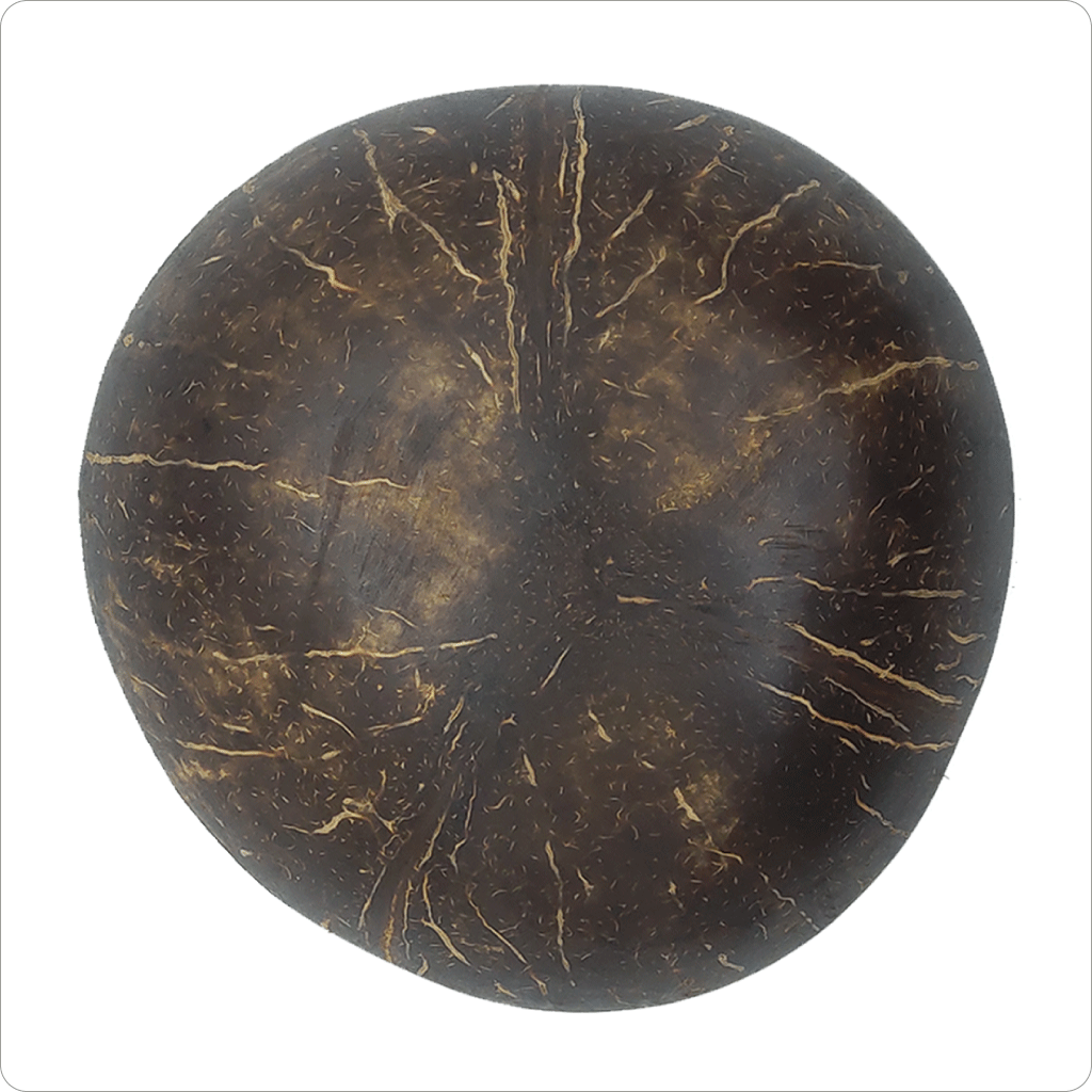 Real Coconut shell Bowl Forest floral Print